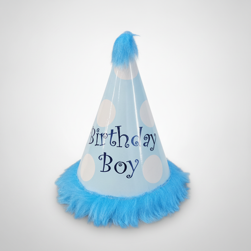 Birthday Boy Party Hat – Blue Polka Dot with Fluffy Trim