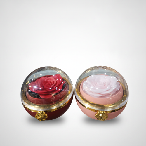 Enchanted Rose Globe — Preserved Flower Dome Gift Box