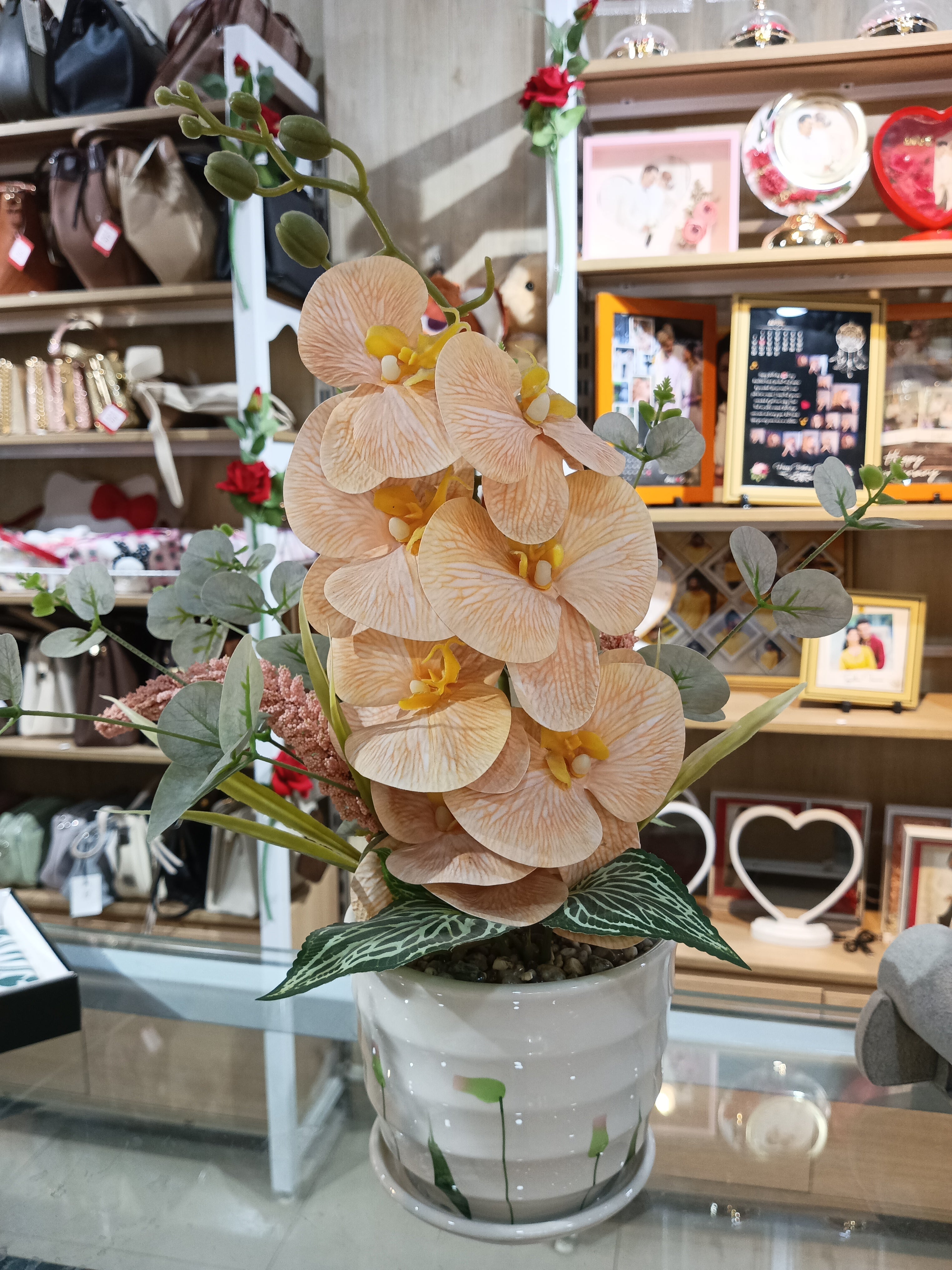 Peach Phalaenopsis Orchid Arrangement in Ceramic Pot
