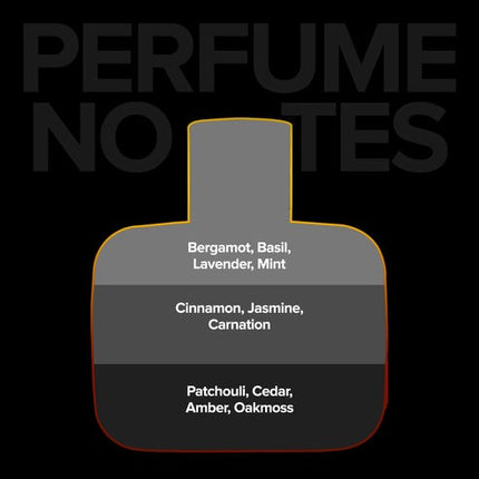 VILLAIN II Voltage Perfume | Long Lasting Premium Eau de Parfum - 100 ml (For Men)