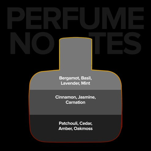 VILLAIN II Voltage Perfume | Long Lasting Premium Eau de Parfum - 100 ml (For Men)