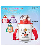 Stainless Steel Colourfull Water Bottle