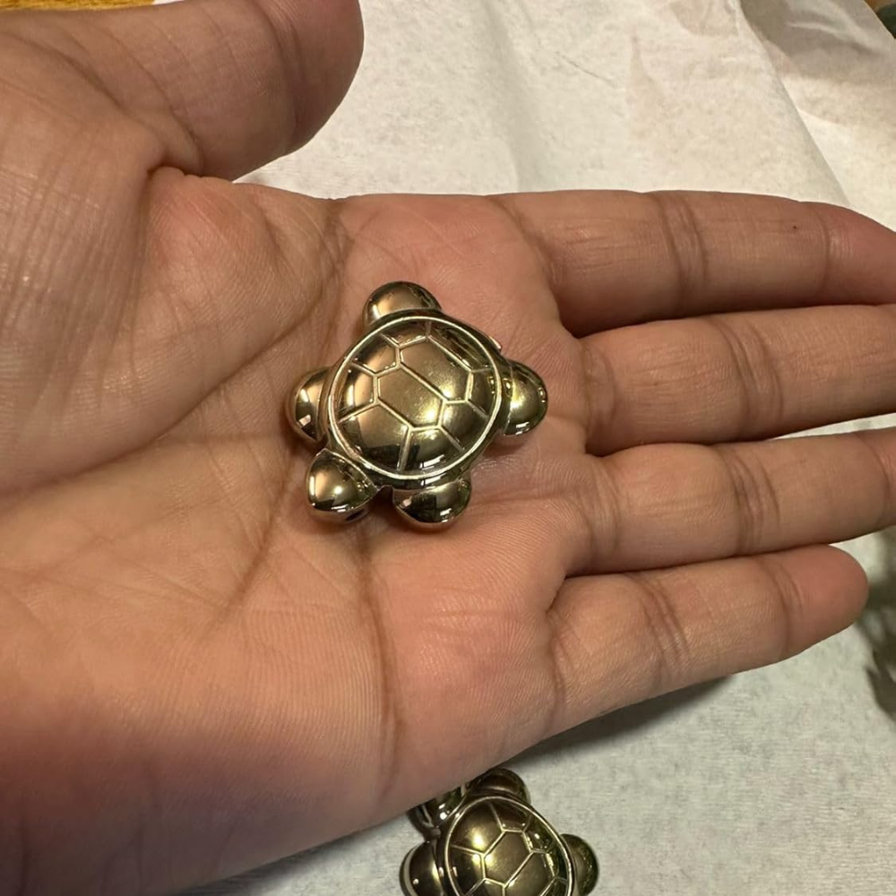 Pyrite Turtle