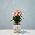 Lily Flower Arrangement In a Ceramic Pot