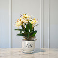 Foliyaj White & Purple Artificial Plant With Pot