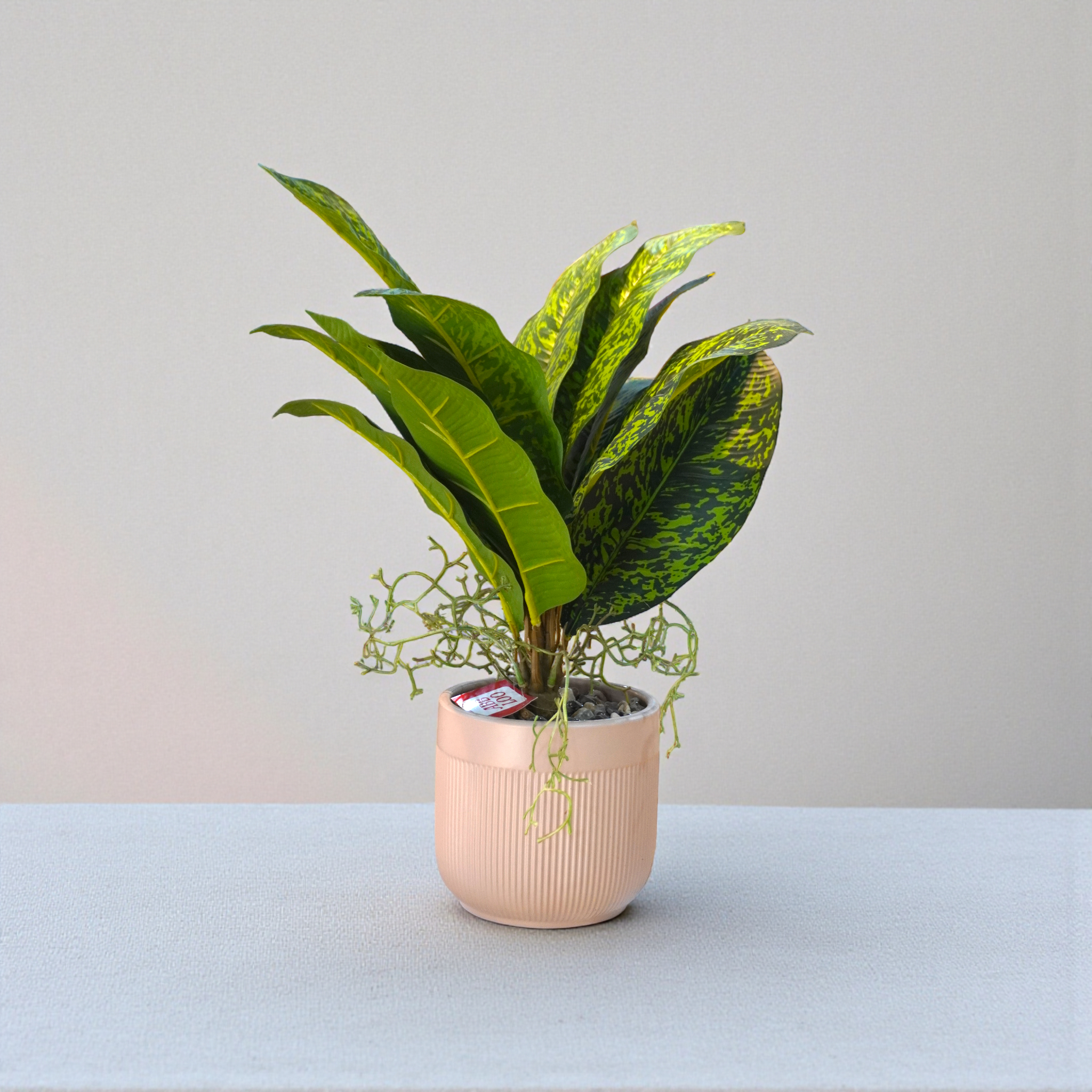 Faux Gold Dust Croton Plant With Pot