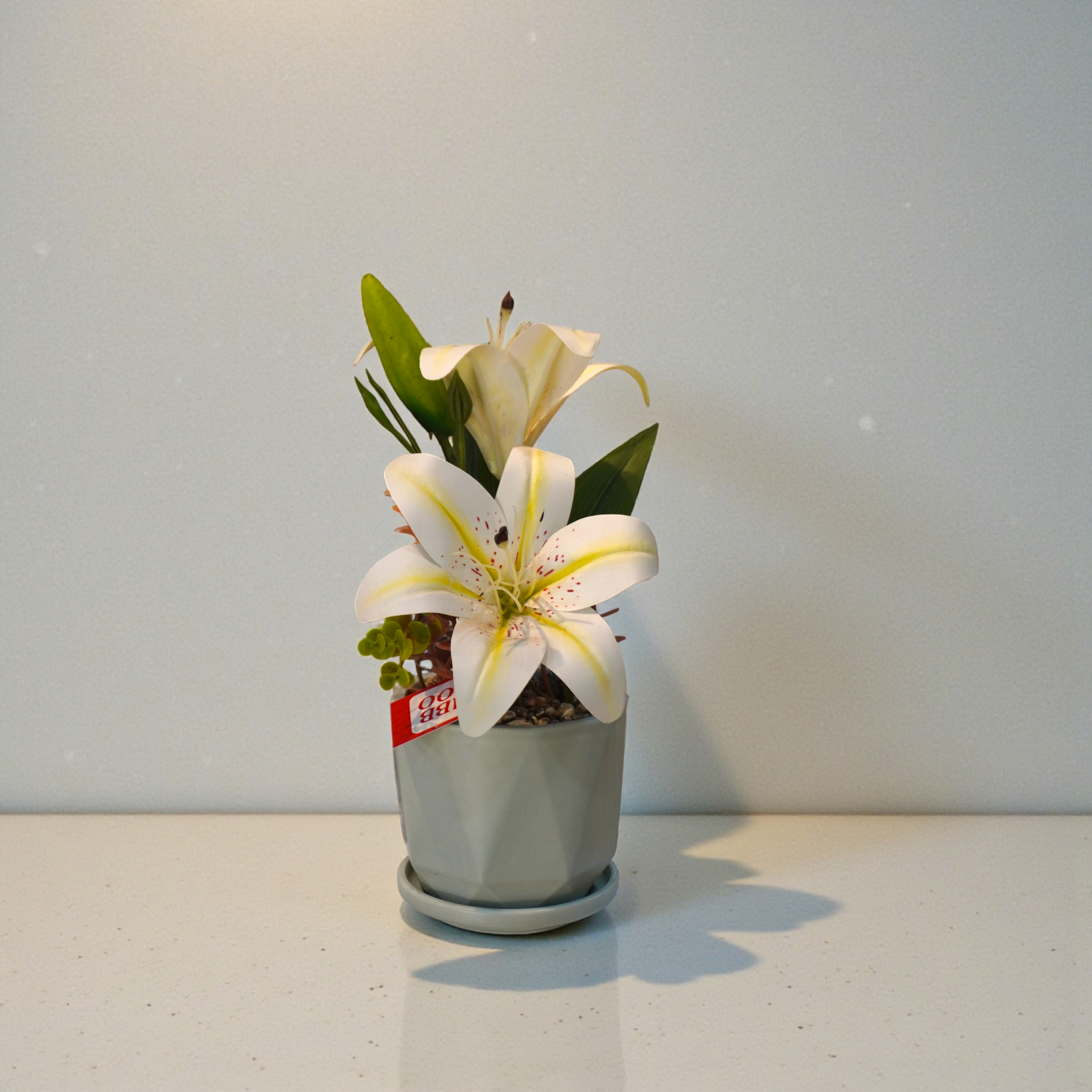 Litleo Artificial Lily Flowers in White Pot, Set of 2, for Home Decor (White)