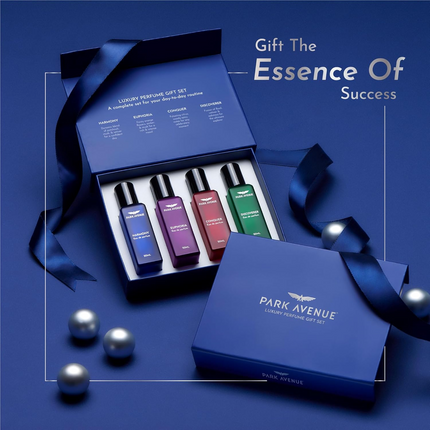 Park Avenue Luxury Perfume Gift Set for Men, 4x20 ml