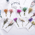 Dried Flowers Greeting Cards  3d Flower Card