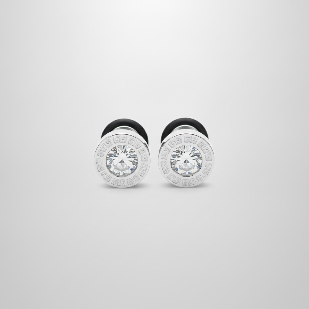 Men's Stainless Steel CZ Crystal Stud Earrings – Silver Pair