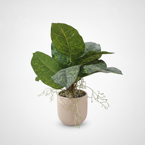 Tropical Dieffenbachia Artificial Plant in Ribbed Pink Pot