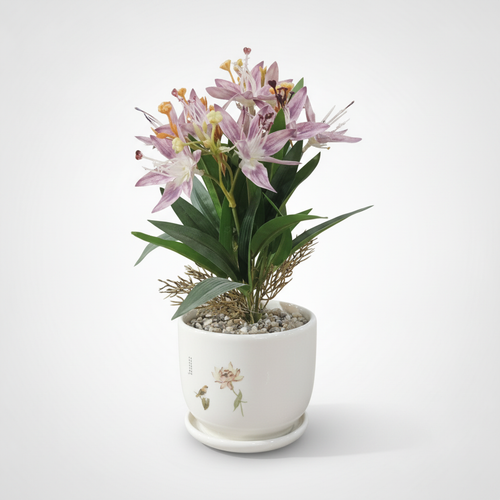 Elegant Orchid Arrangement in Decorative Ceramic Pot