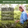 Twinings of London Origins Assam Tea
