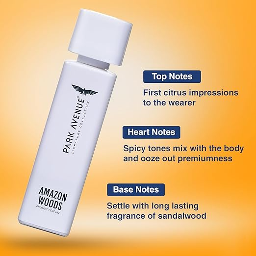 Park Avenue Voyage Signature Collection | Liquid Perfume For Men | 120 ml