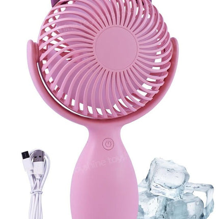 Rechargeable Fan