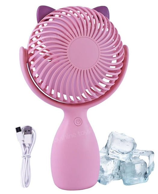 Rechargeable Fan