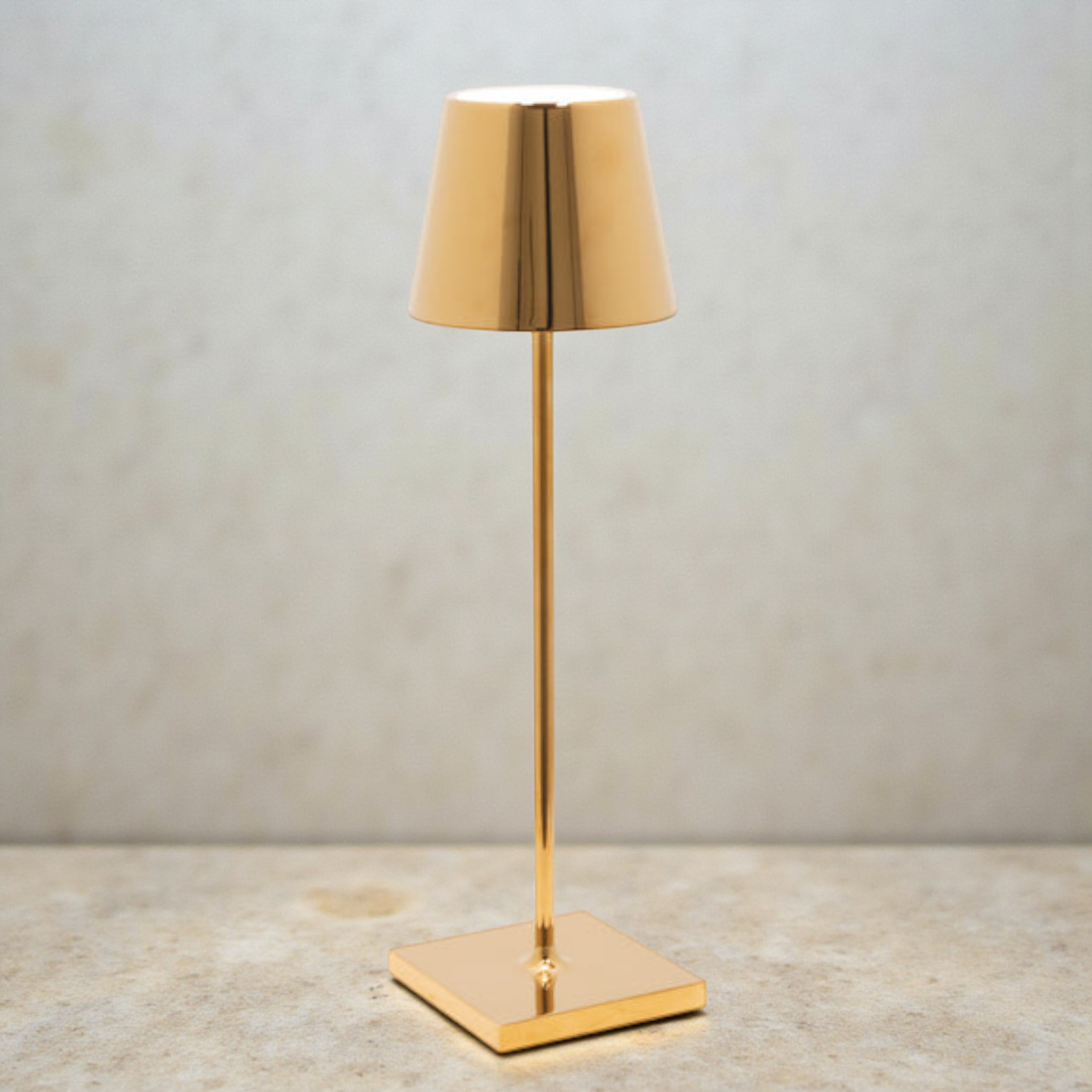Poldina Pro Portable Table Lamp